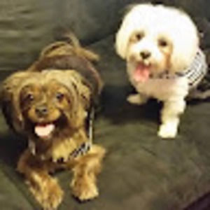 Meet your Posher, Bobbi